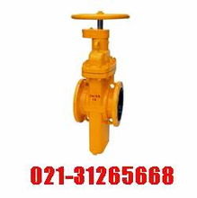 進(jìn)口燃?xì)忾l閥 福林fring進(jìn)口閥門