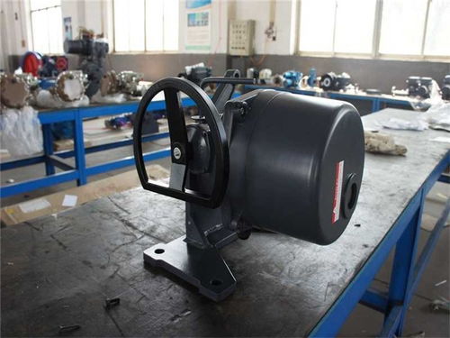 風(fēng)門電動執(zhí)行器廠 風(fēng)門電動執(zhí)行器 天津澳托克執(zhí)行器 查看