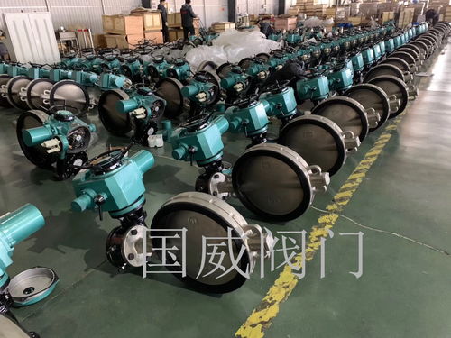 國(guó)威提醒,閥門公司應(yīng)多注重品牌延伸發(fā)展問題